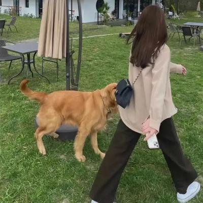 爱情本性论